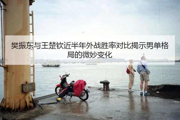 樊振东与王楚钦近半年外战胜率对比揭示男单格局的微妙变化