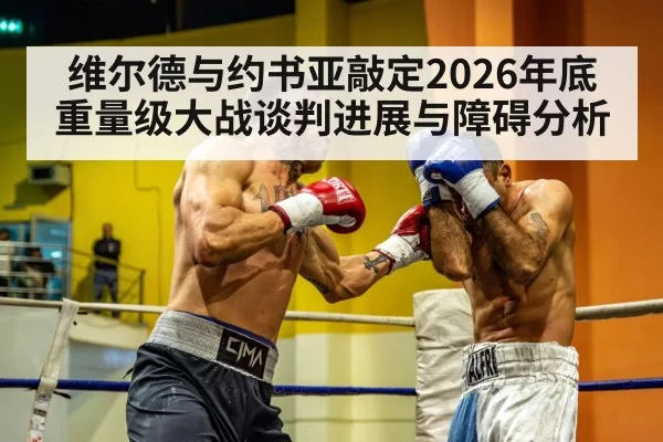 维尔德与约书亚敲定2026年底重量级大战谈判进展与障碍分析