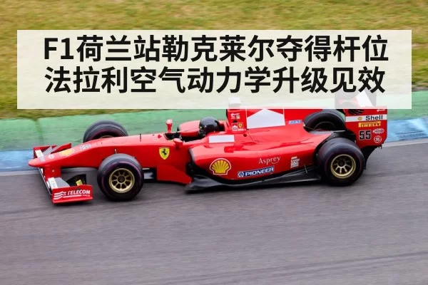 Ferrari Formula 1 front wing
