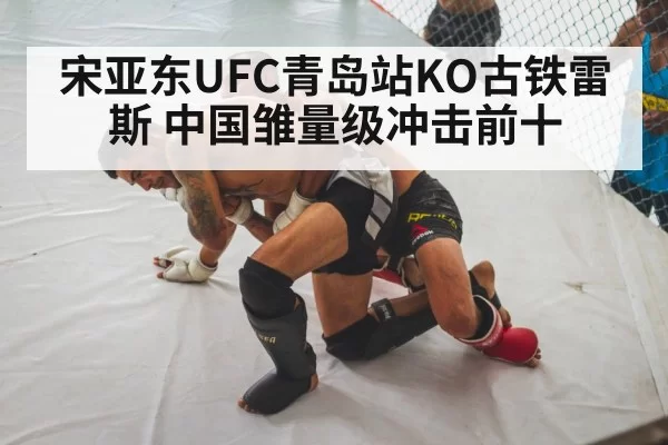UFC fighter knockout